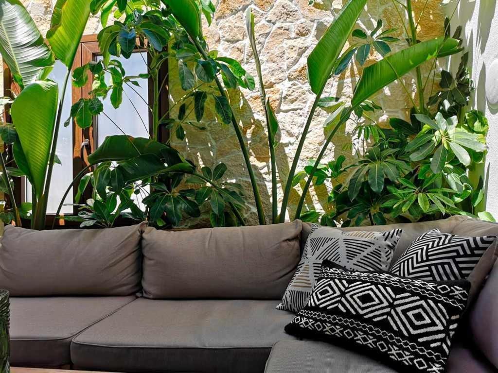 Casa Rural Albireo Rebosante De Luz Y Naturaleza Sanlúcar de Guadiana Екстериор снимка